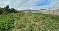 Excelente terreno urbano para proyecto