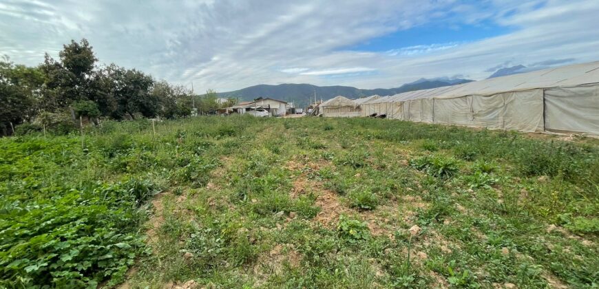 Excelente terreno urbano para proyecto