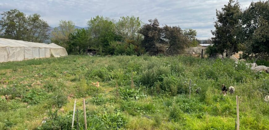 Excelente terreno urbano para proyecto