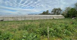 Excelente terreno urbano para proyecto