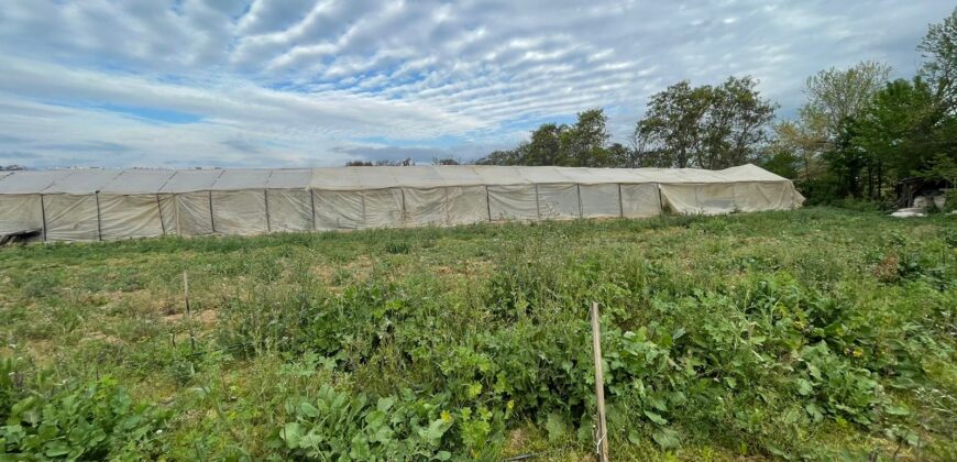 Excelente terreno urbano para proyecto