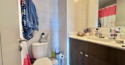 Excelente departamento en Santiago