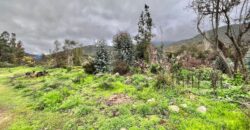 Gran parcela en Limache