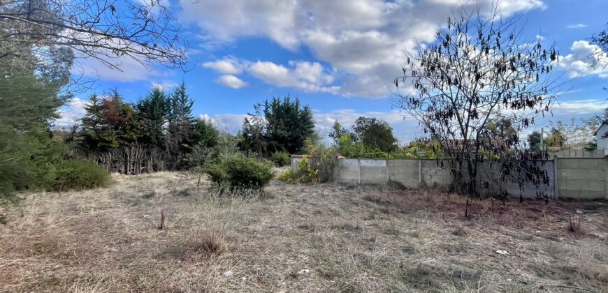 Gran Terreno en Olmué