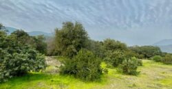 Parcela en los altos de Olmué
