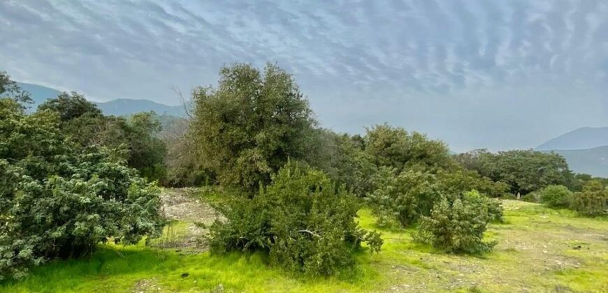 Parcela en los altos de Olmué