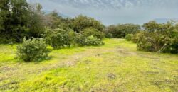 Parcela en los altos de Olmué