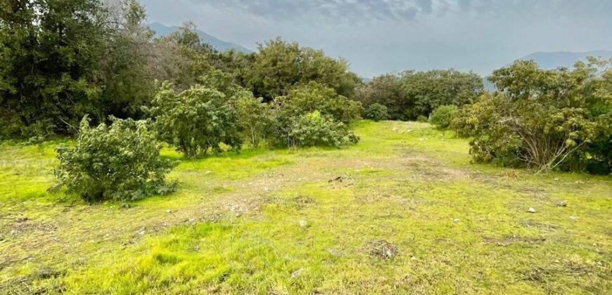 Parcela en los altos de Olmué