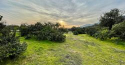 Parcela en los altos de Olmué