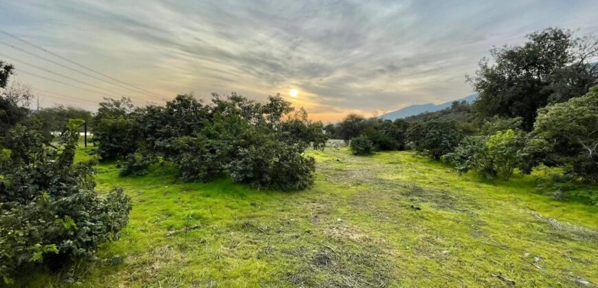 Parcela en los altos de Olmué