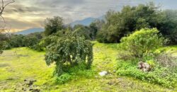 Parcela en los altos de Olmué