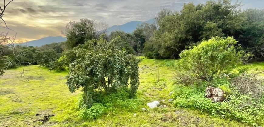 Parcela en los altos de Olmué