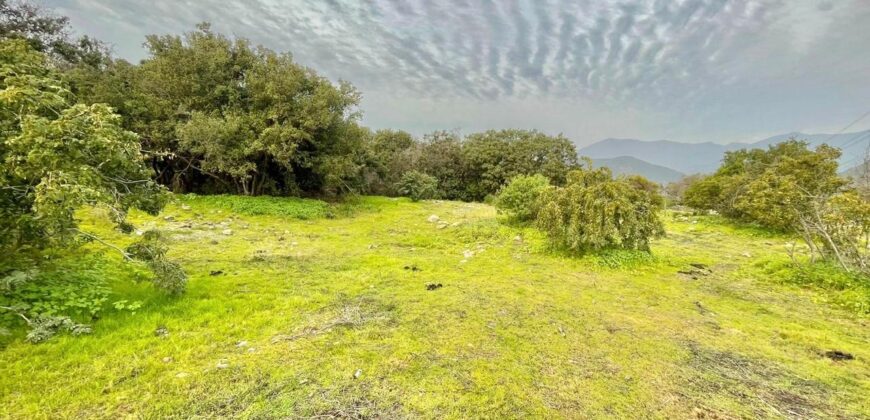 Parcela en los altos de Olmué