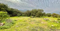 Parcela en los altos de Olmué