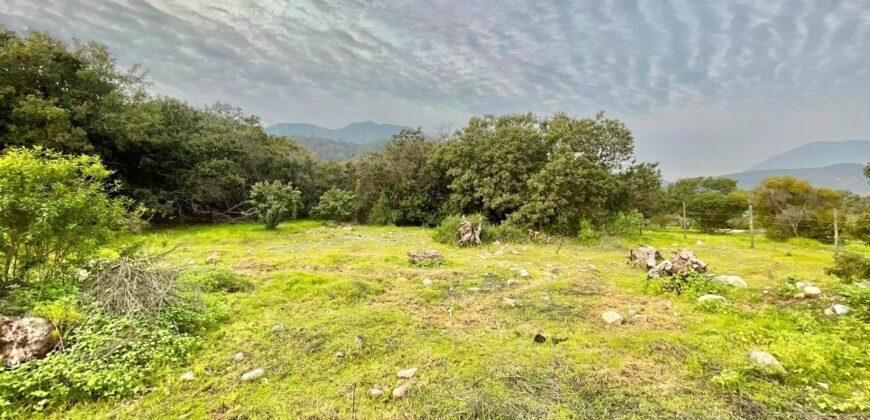 Parcela en los altos de Olmué