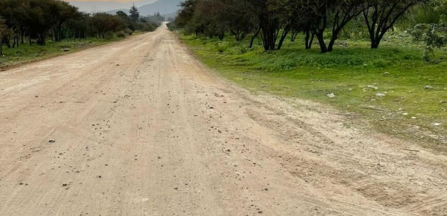 Parcela en los altos de Olmué