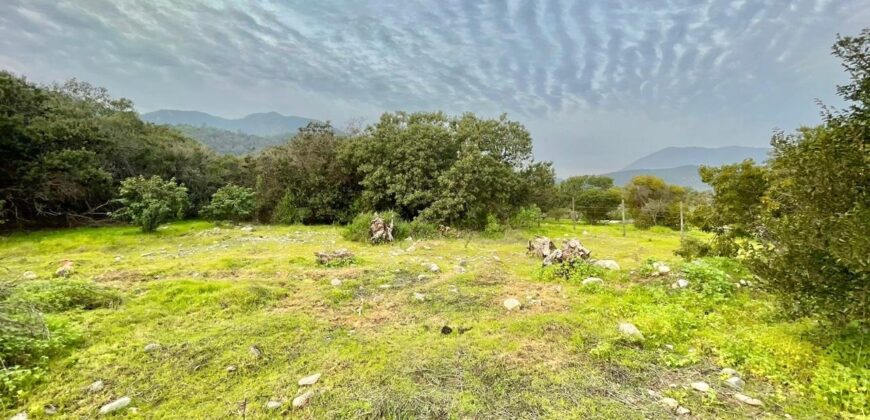 Parcela en los altos de Olmué
