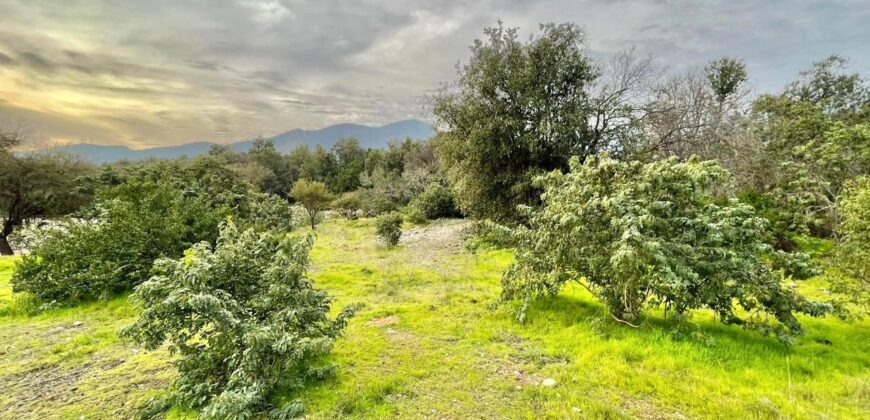 Parcela en los altos de Olmué