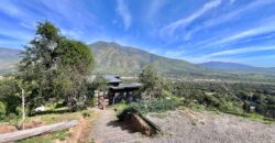 Gran parcela en Olmué