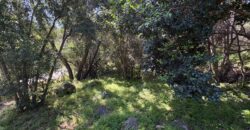 Espectacular parcela en Olmué