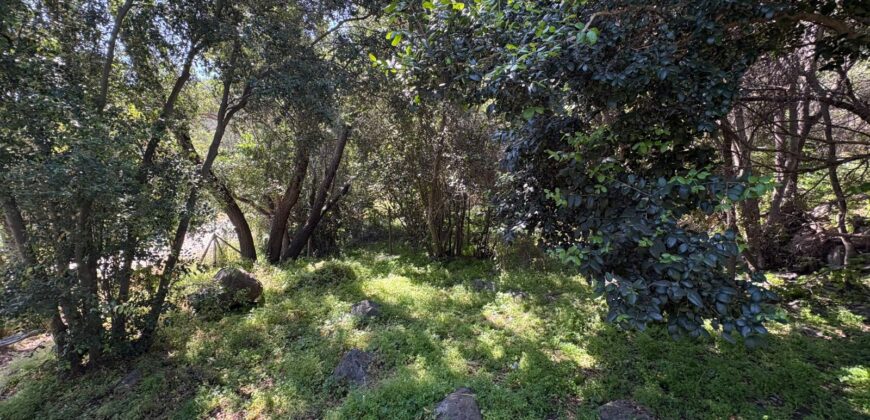 Espectacular parcela en Olmué