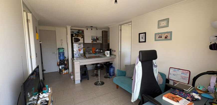 Gran Depto en Viña Del Mar