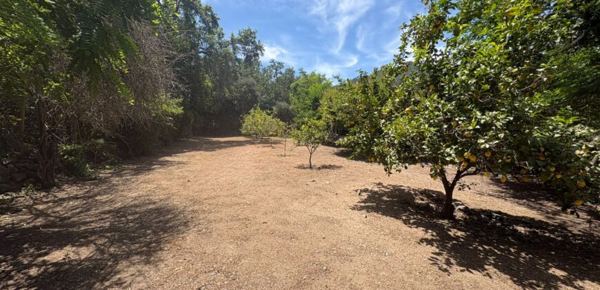 Proyecto comercial en Olmué