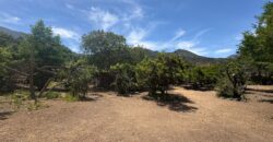 Proyecto comercial en Olmué