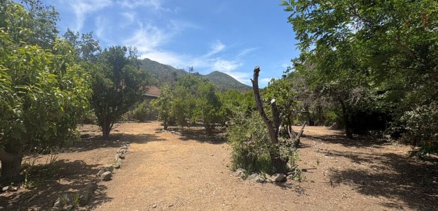 Proyecto comercial en Olmué