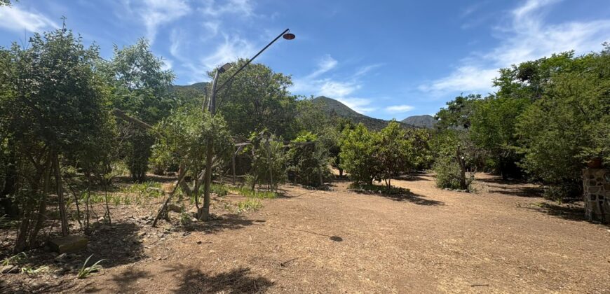 Proyecto comercial en Olmué