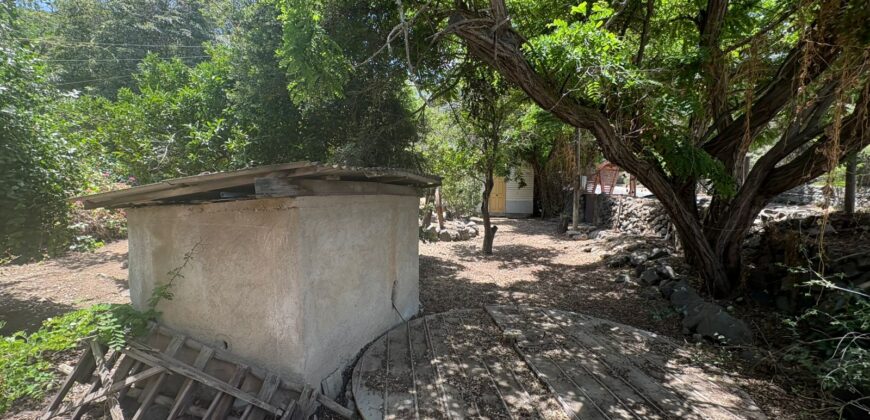 Proyecto comercial en Olmué