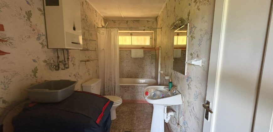 Proyecto comercial en Olmué