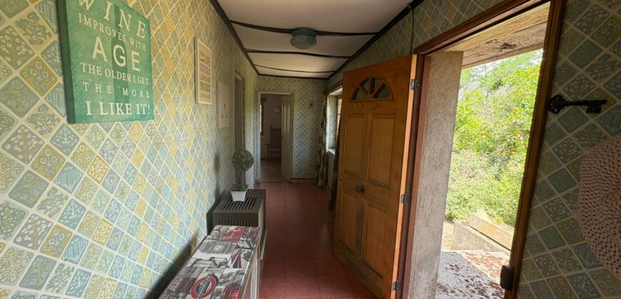 Proyecto comercial en Olmué