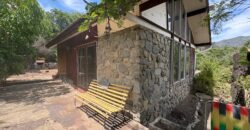 Proyecto comercial en Olmué