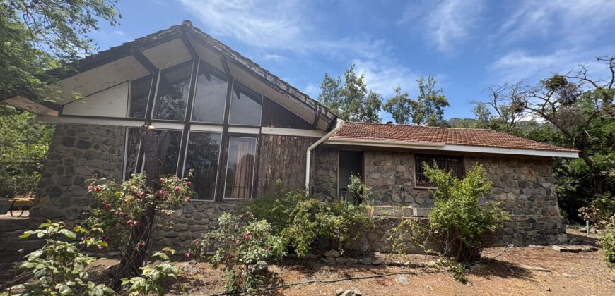 Proyecto comercial en Olmué