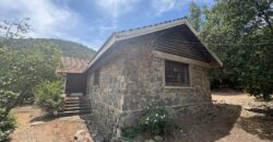 Proyecto comercial en Olmué