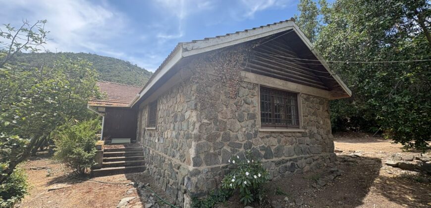 Proyecto comercial en Olmué