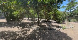 Proyecto comercial en Olmué