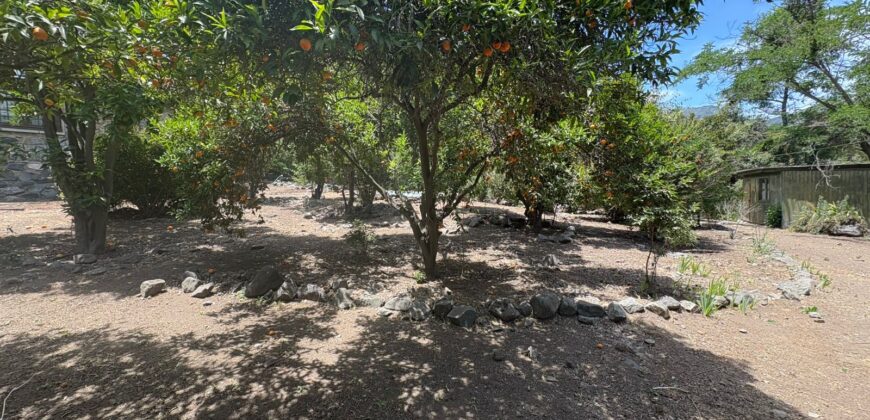 Proyecto comercial en Olmué