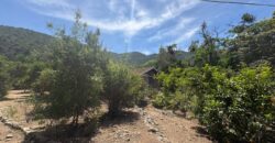 Proyecto comercial en Olmué