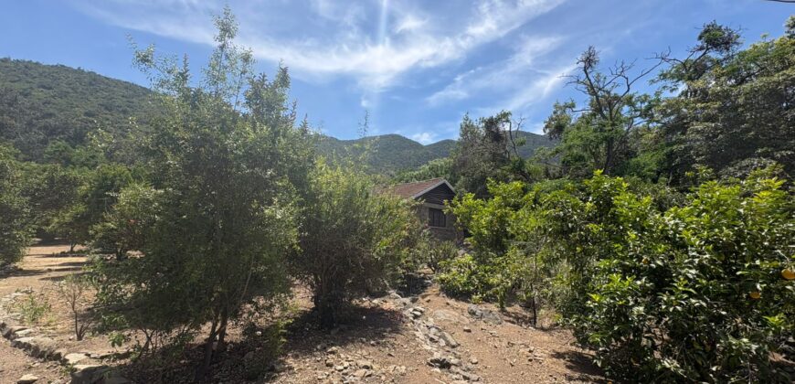 Proyecto comercial en Olmué