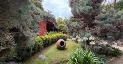 Gran parcela en Olmué