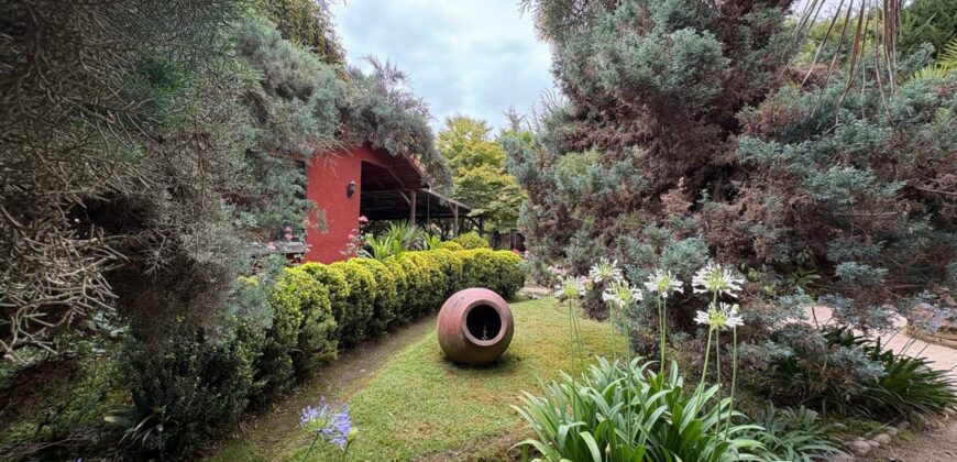 Gran parcela en Olmué