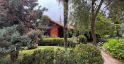 Gran parcela en Olmué