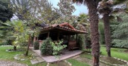 Gran parcela en Olmué