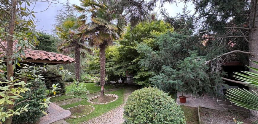 Gran parcela en Olmué