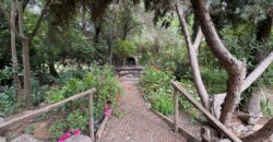 Gran parcela en Olmué