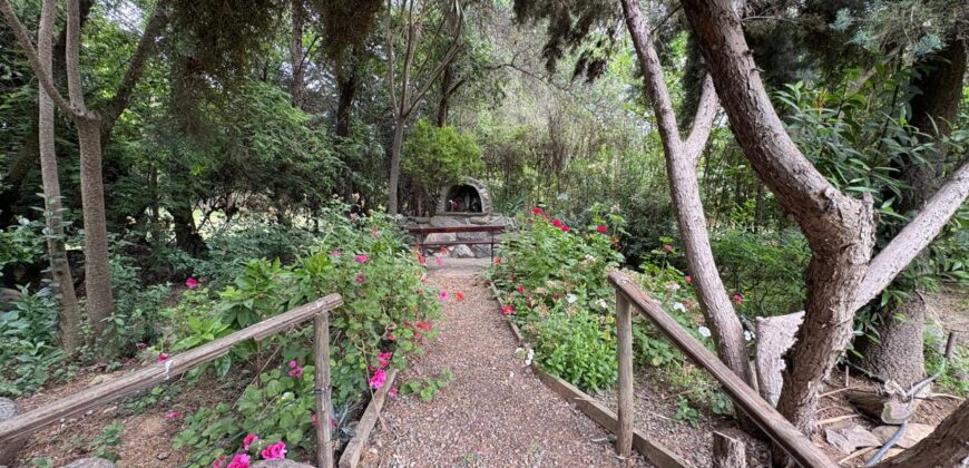 Gran parcela en Olmué